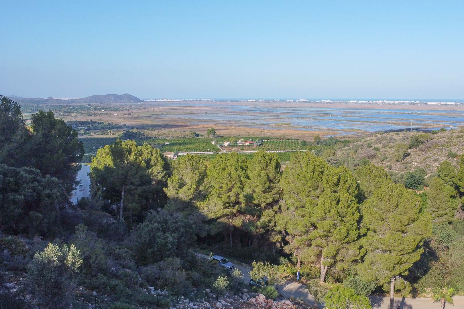 Panoramic views from the plot overlooking the Marjal de Pego Natural Park and the Mediterranean Sea, framed by native pine trees and hillside vegetation.