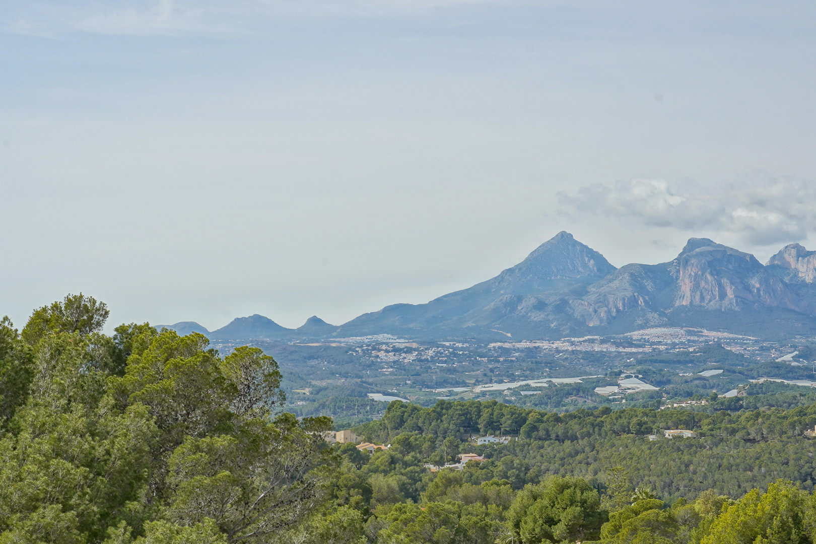 Panoramic views from the property overlooking Puig Campana and Sierra Aitana, framed by lush Mediterranean pine forests.