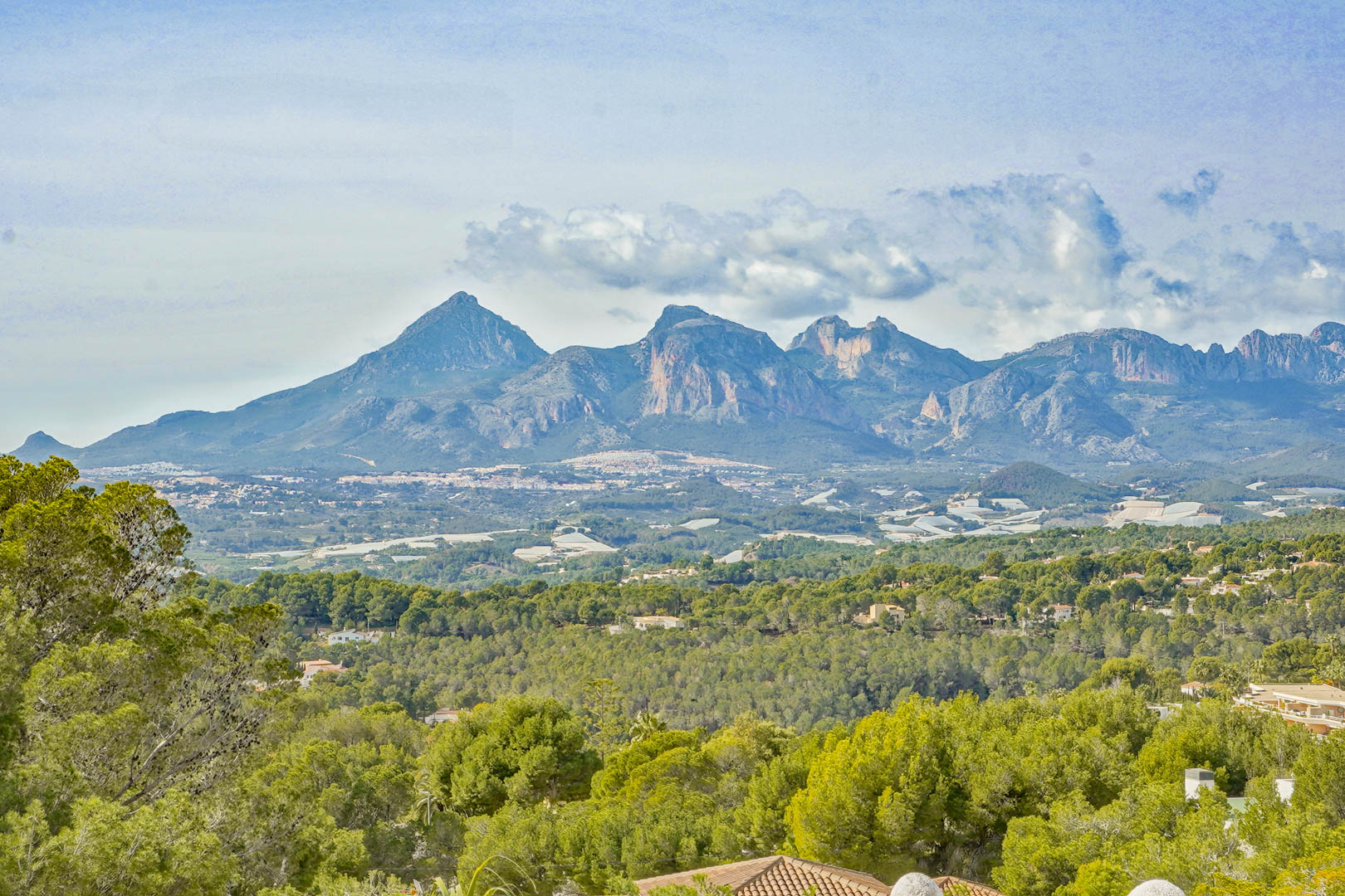 Panoramic views of the Puig Campana and Sierra Aitana mountain ranges, overlooking a lush pine forest and the surrounding Mediterranean landscape.
