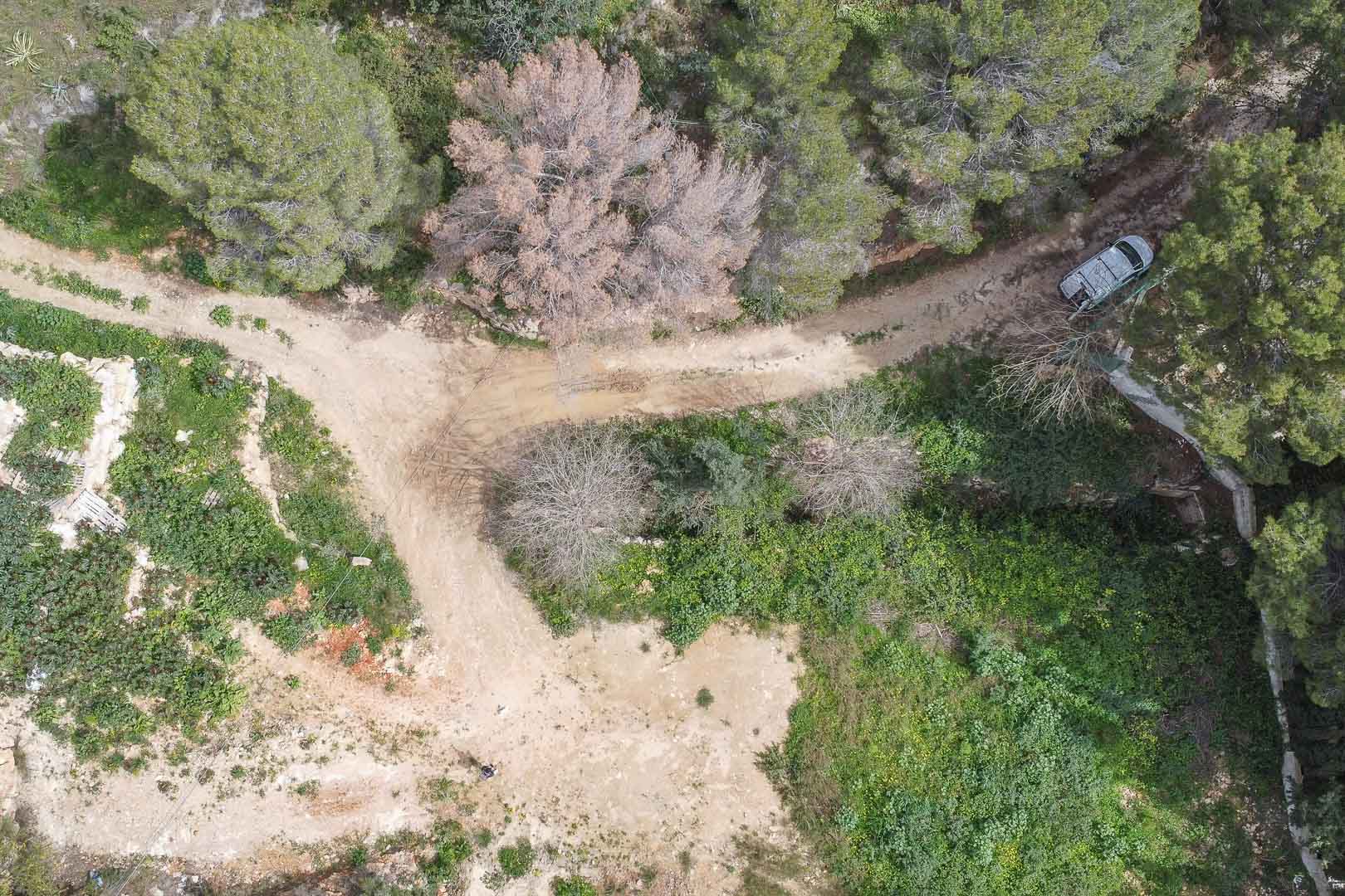 Aerial view of the current plot in La Corona, featuring dirt access paths surrounded by native Mediterranean vegetation and pine trees.