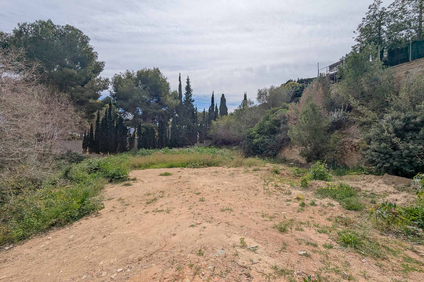 Elevated and cleared building plot in La Corona, surrounded by mature pine and cypress trees, offering a secluded setting for a custom architectural project.