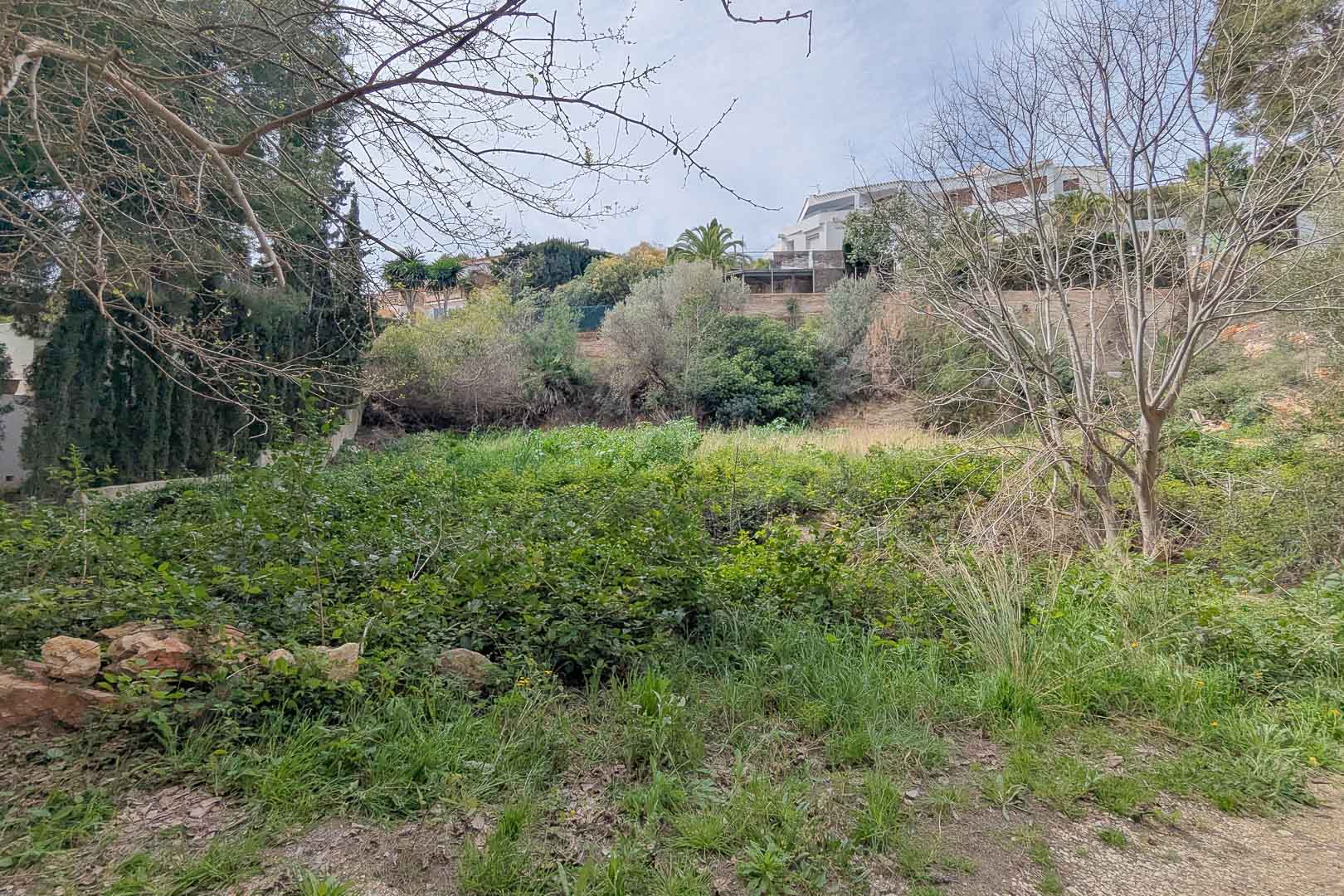 Elevated building plot featuring natural Mediterranean vegetation and mature trees, situated within a developed residential area with clear views of the surroundings.