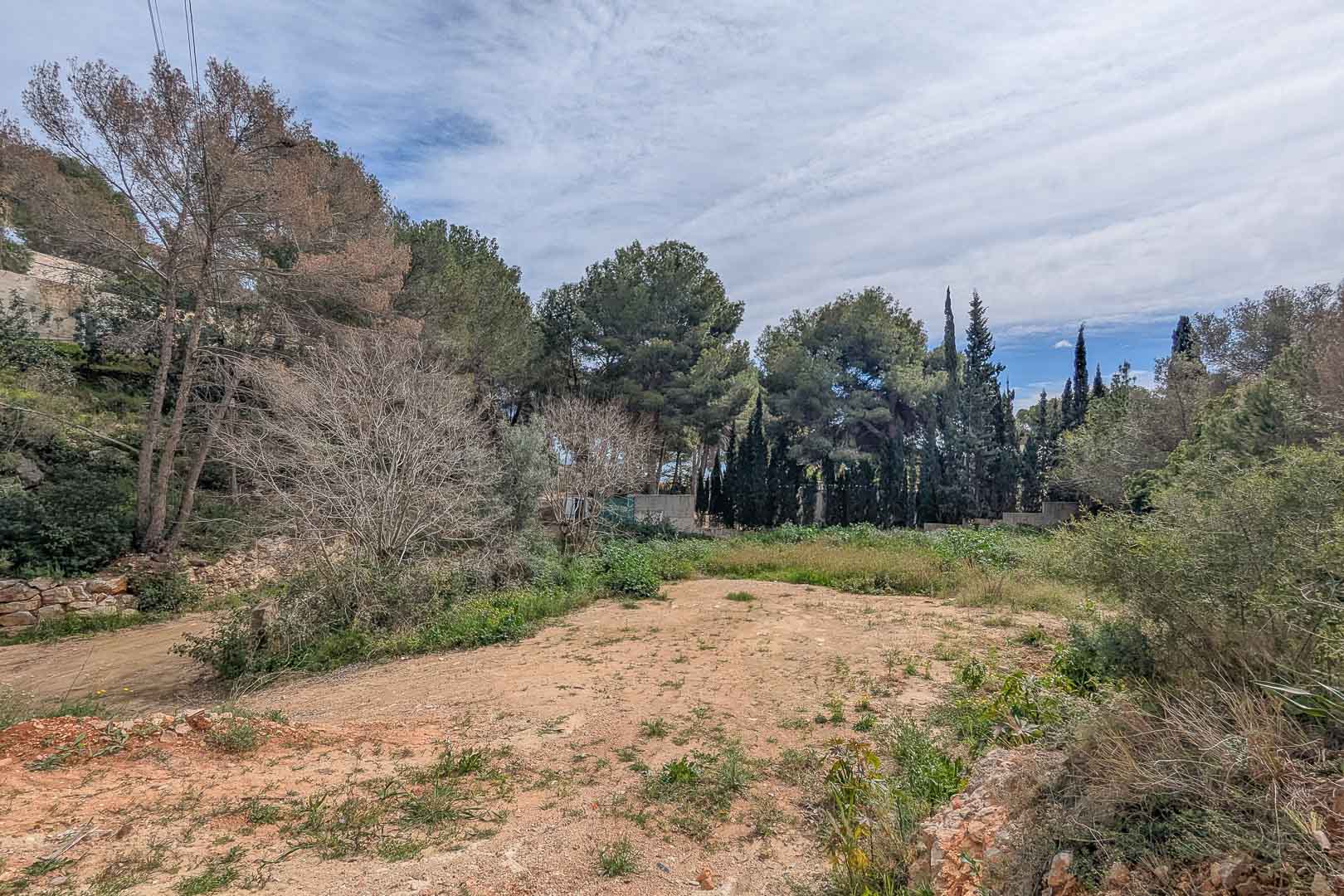 Elevated building plot in La Corona, surrounded by mature pine trees and native vegetation, providing a natural setting for a custom villa project.