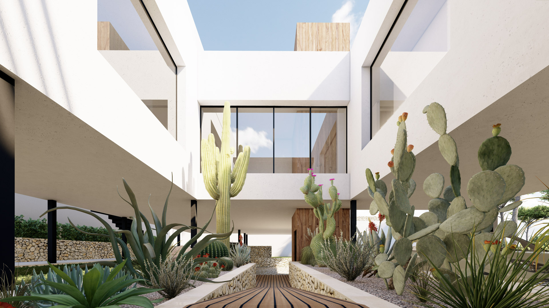 Entrance featuring a wooden walkway and integrated cactus garden, highlighting white minimalist architecture and dry stone walls beneath cantilevered volumes.