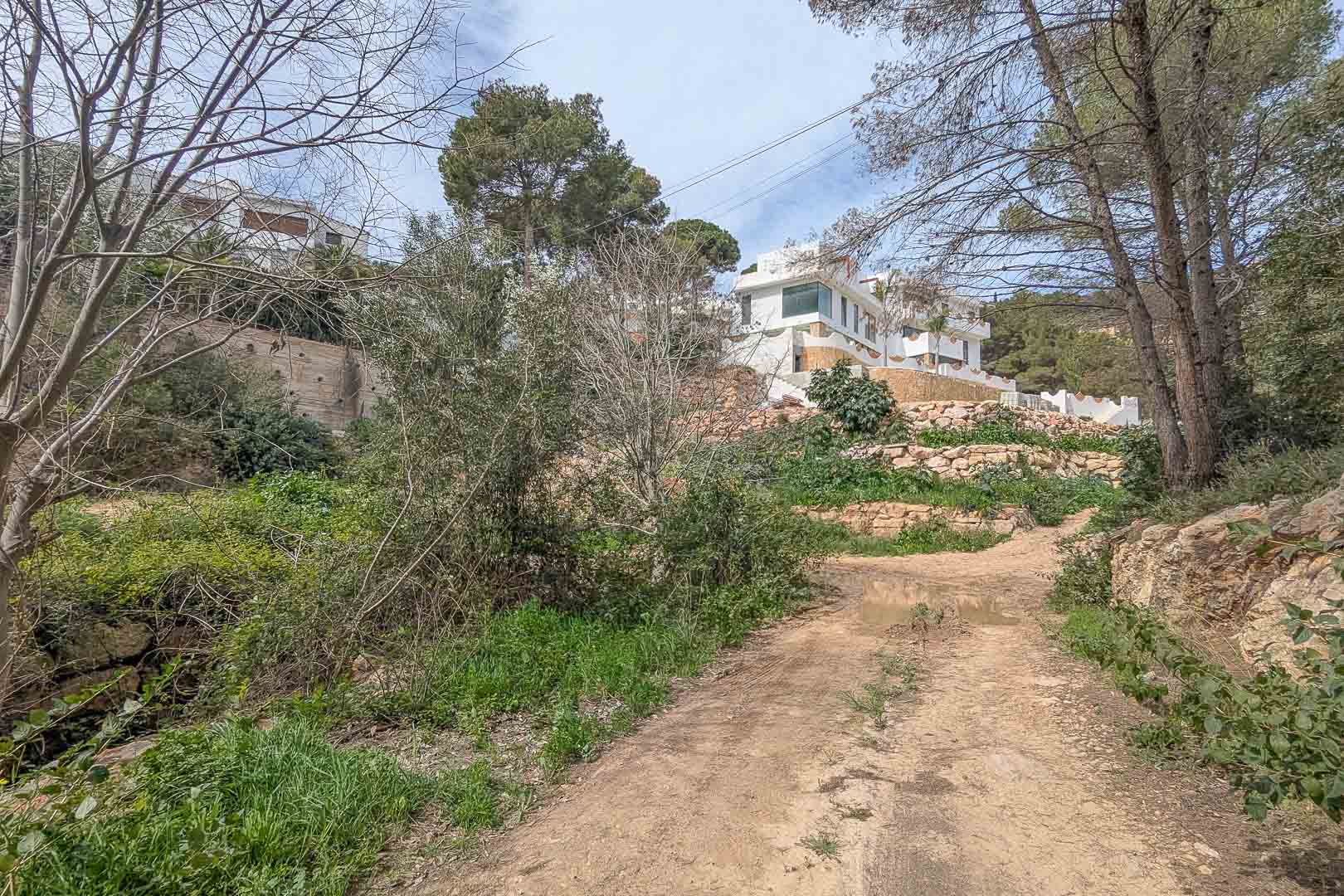 Exterior view from the access path showing the elevated plot with natural stone terracing and the white villa architecture nestled among mature pine trees.