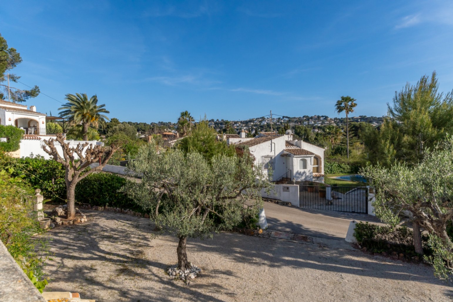 Elevated exterior view featuring a gravel garden with olive trees and the traditional white architecture of the villa against a clear blue sky.