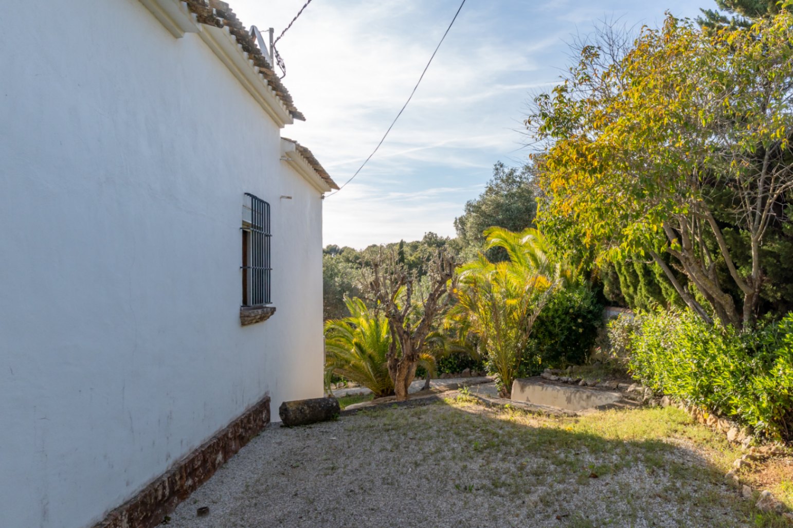 Side exterior view featuring a white facade with traditional iron-grilled windows, set within a garden of mature palms and Mediterranean trees.
