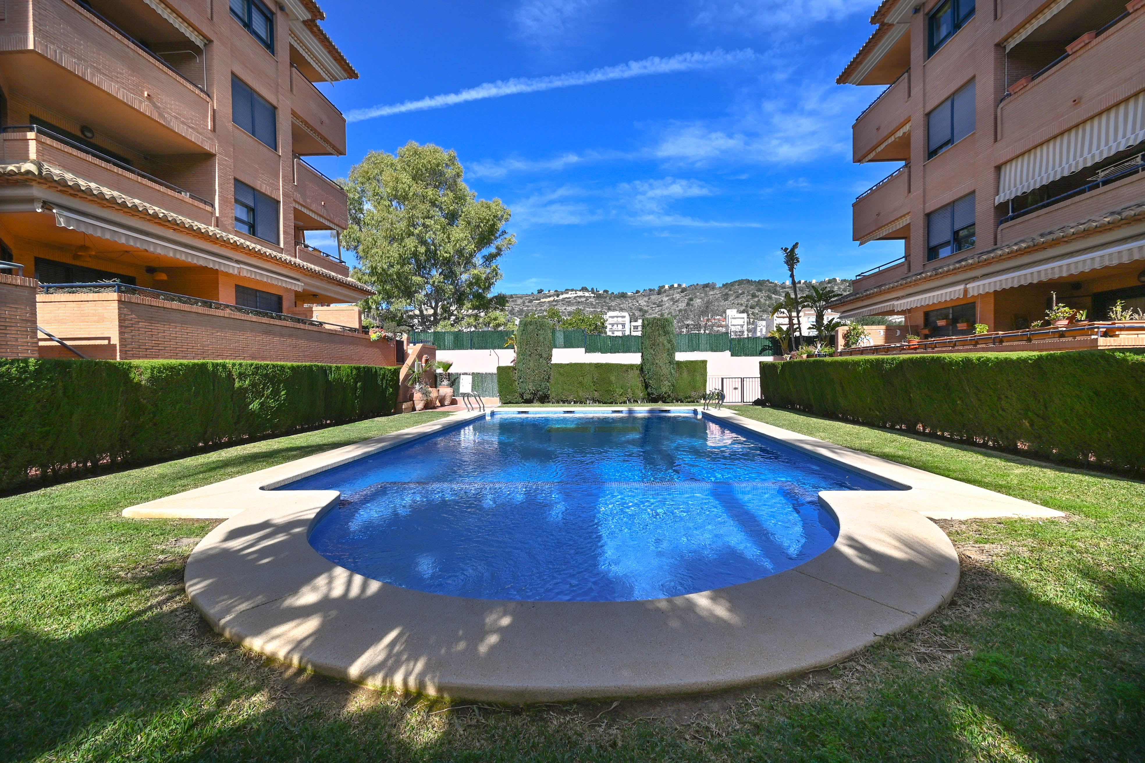 Communal swimming pool featuring a curved entry, bordered by manicured lawns and hedges, set between brick residential buildings under a clear sky.