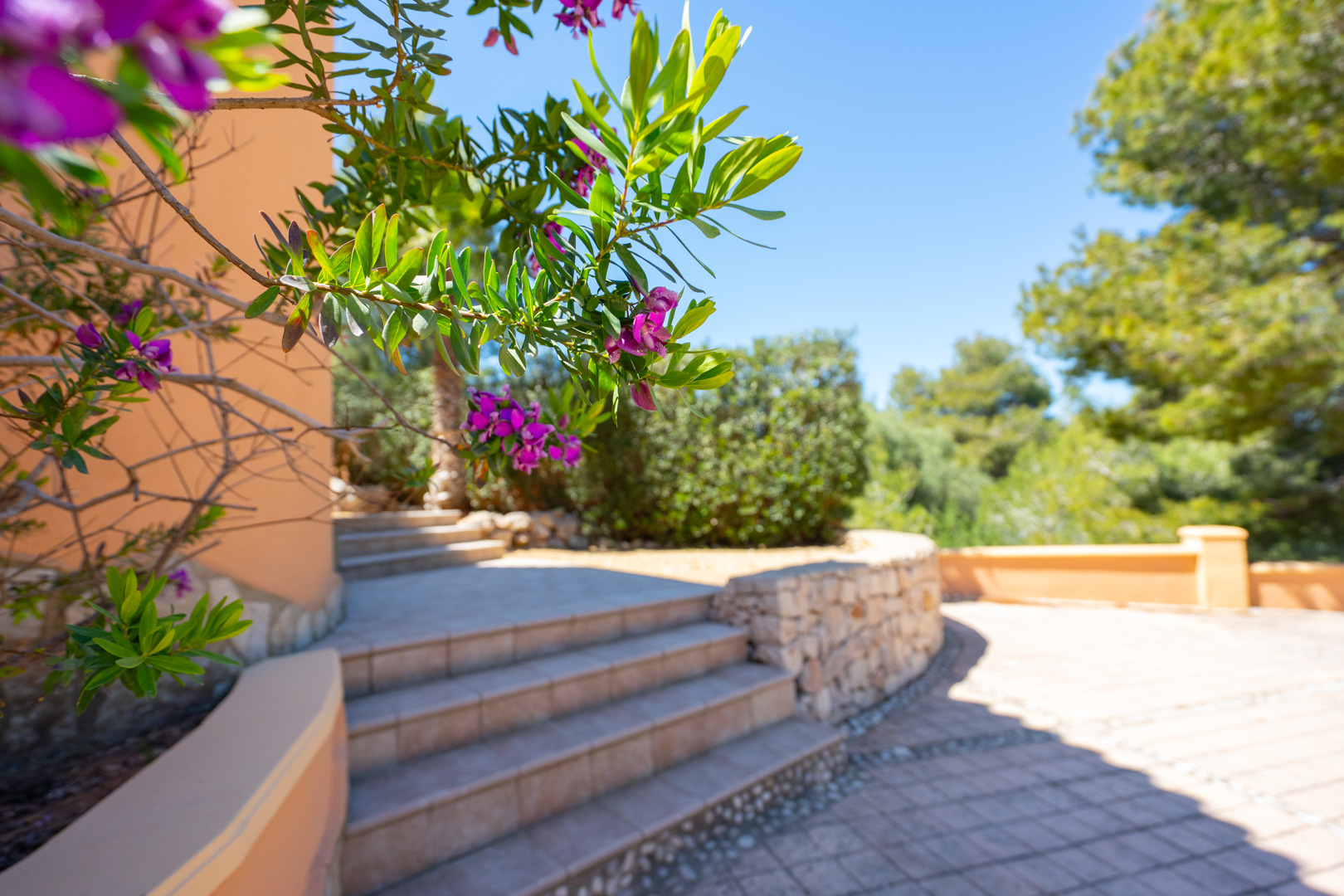 Outdoor tiled steps connecting terrace levels, bordered by a natural stone wall and vibrant Mediterranean flora including purple Polygala flowers and mature pines.