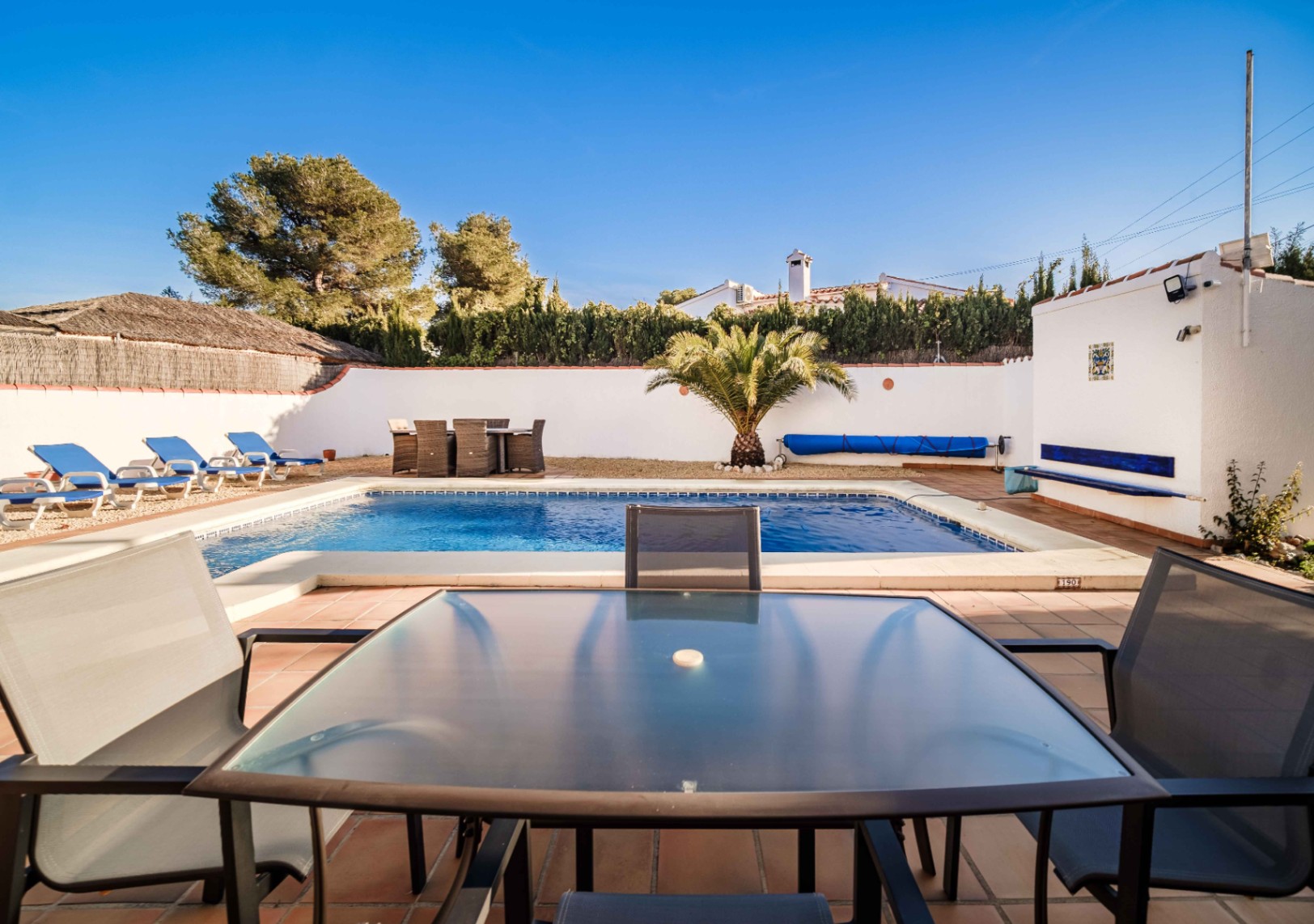 Rectangular swimming pool featuring a terracotta terrace with multiple outdoor dining areas, blue sun loungers, and an ornamental palm tree against a clear sky.