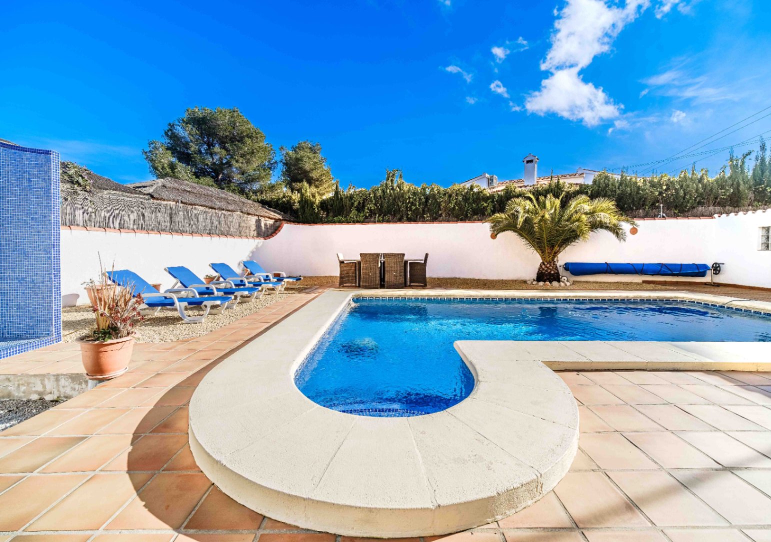 Saltwater swimming pool featuring a curved entry step, terracotta tiled terrace, and sun loungers. The area includes an outdoor dining set, palm tree, and mosaic-tiled shower.