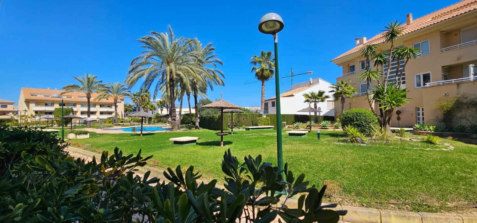 Communal garden featuring manicured lawns, mature palm trees, and thatched umbrellas surrounding the swimming pool area.