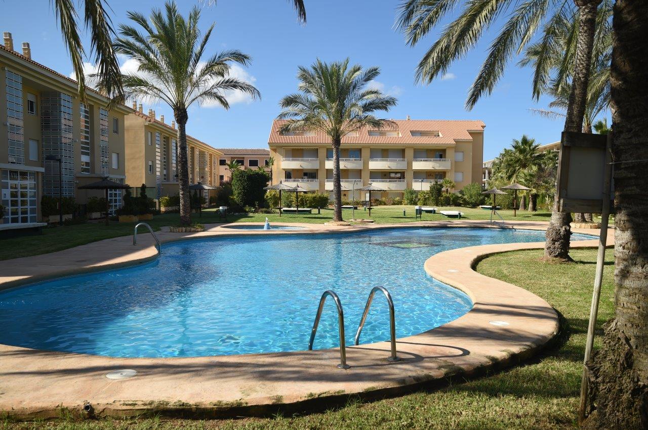 Communal swimming pool with a curved design, set within landscaped gardens with natural grass and palm trees at Golden Beach 2.
