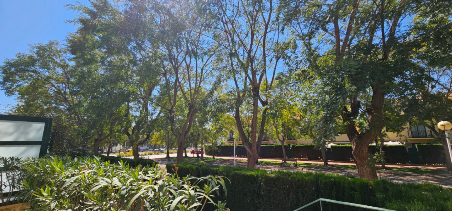 View from the terrace overlooking the landscaped exterior with mature trees and manicured hedges under a clear blue sky.