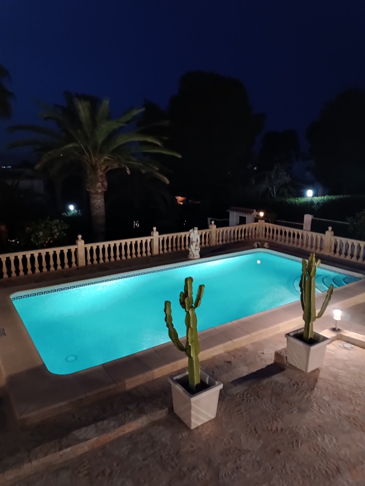 Illuminated rectangular swimming pool at night, featuring a stone terrace, classic balustrade, and Mediterranean landscaping with palm trees and potted cacti.