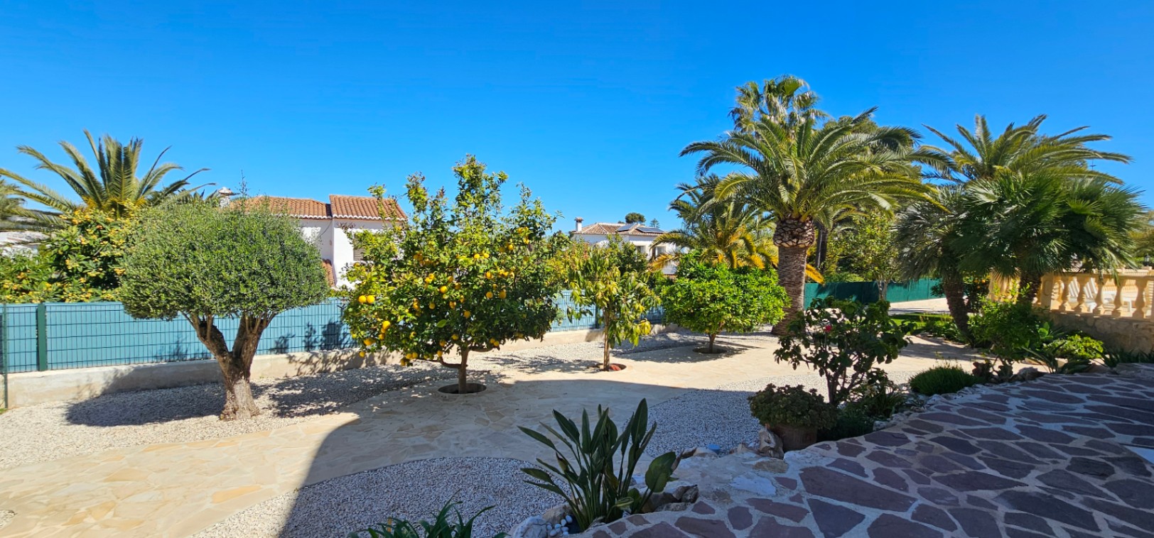 Mediterranean garden featuring lemon, olive, and palm trees, integrated with irregular stone paving and gravel areas under a clear blue sky.