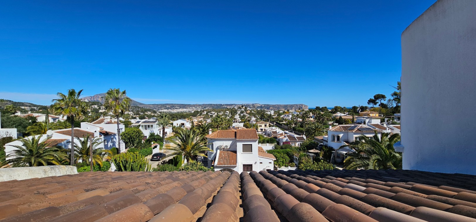 Panoramic view from the terracotta-tiled roof overlooking the residential area of Jávea, featuring lush palm trees and distant mountain views.