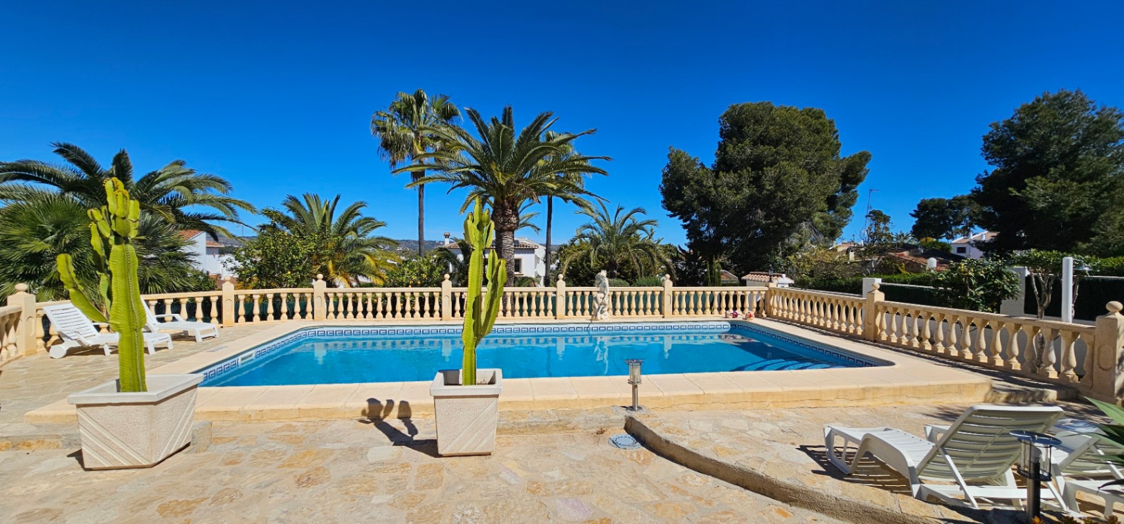 Rectangular swimming pool featuring Roman steps and a decorative tile border, set within a stone terrace with a classic balustrade and palm trees.