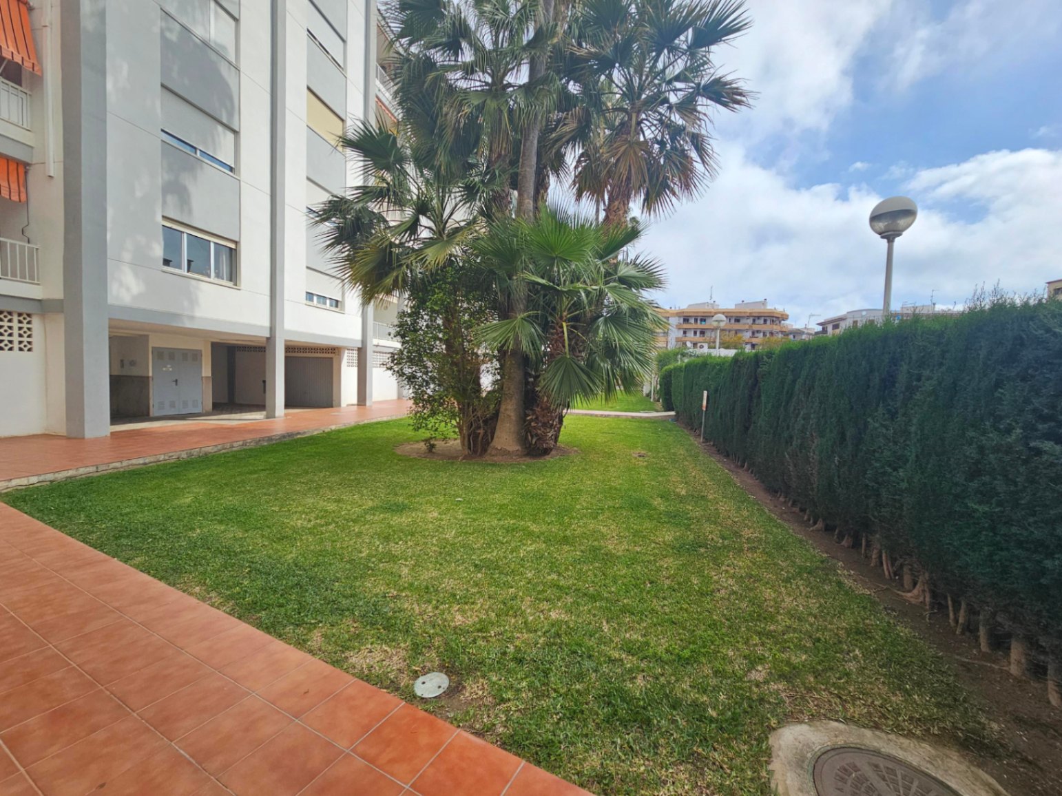 Communal garden featuring a manicured lawn, mature palm trees, and high privacy hedges. Tiled walkways run alongside the residential building facade.