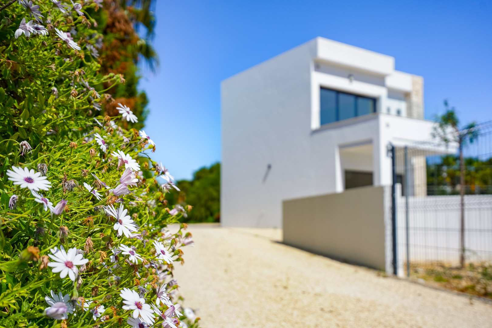 Exterior view from the garden featuring foreground flowers and a gravel path leading to the modern two-story white villa.