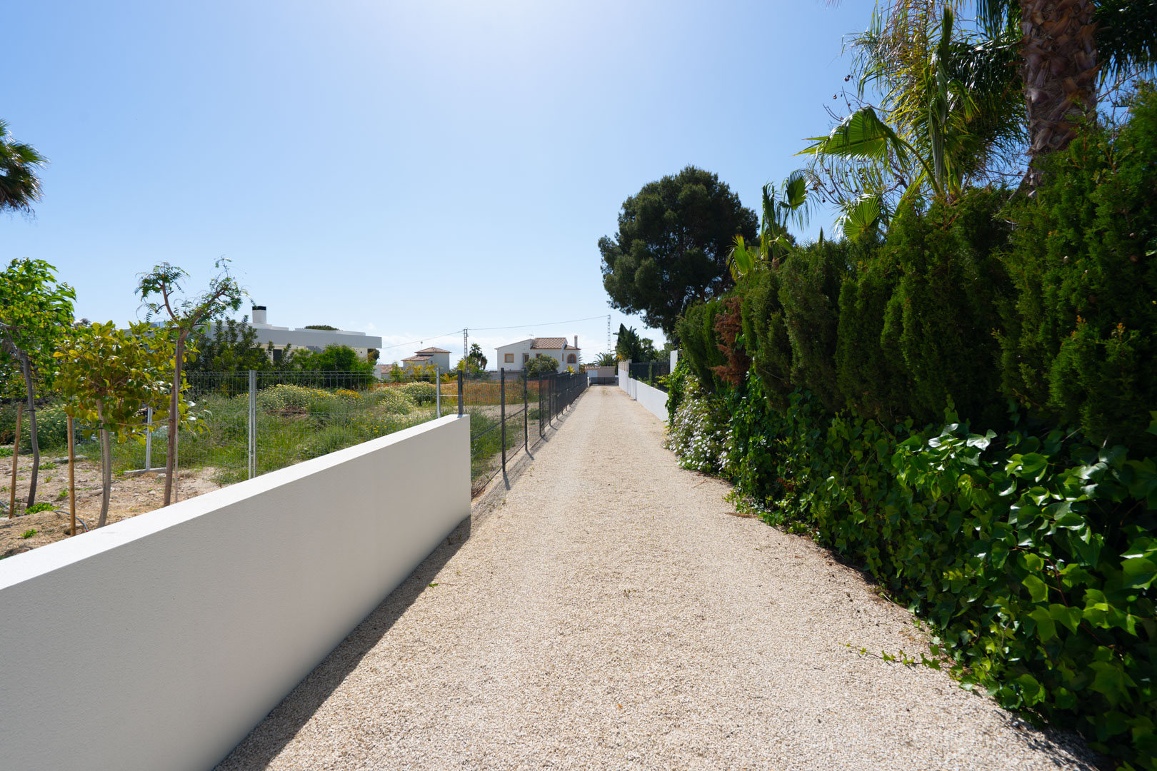 Long gravel driveway bordered by a minimalist white wall and a dense green hedge, showcasing the extensive flat terrain of the property's large plot.
