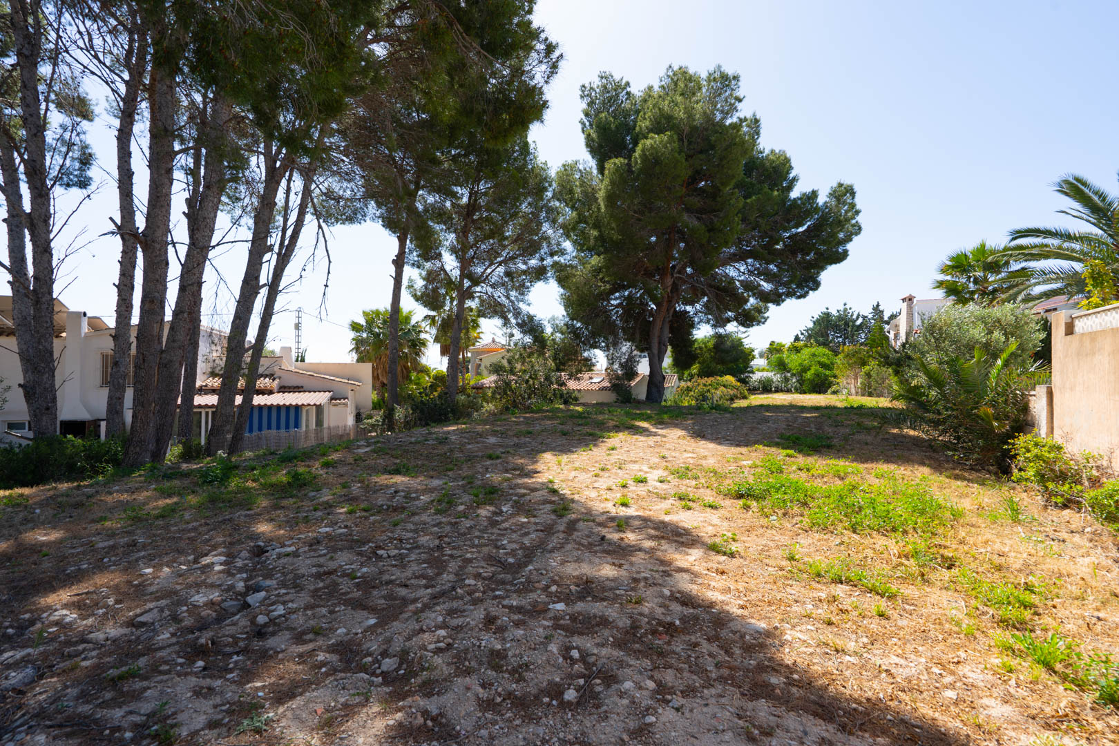 Spacious flat plot of 900 m2 featuring mature pine trees, offering versatile space for a guest house or sports facilities in a quiet residential setting.