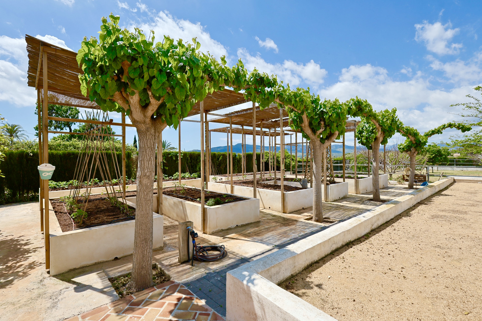 Elevated garden with pergola and trees in Jávea. Functional and aesthetic design.