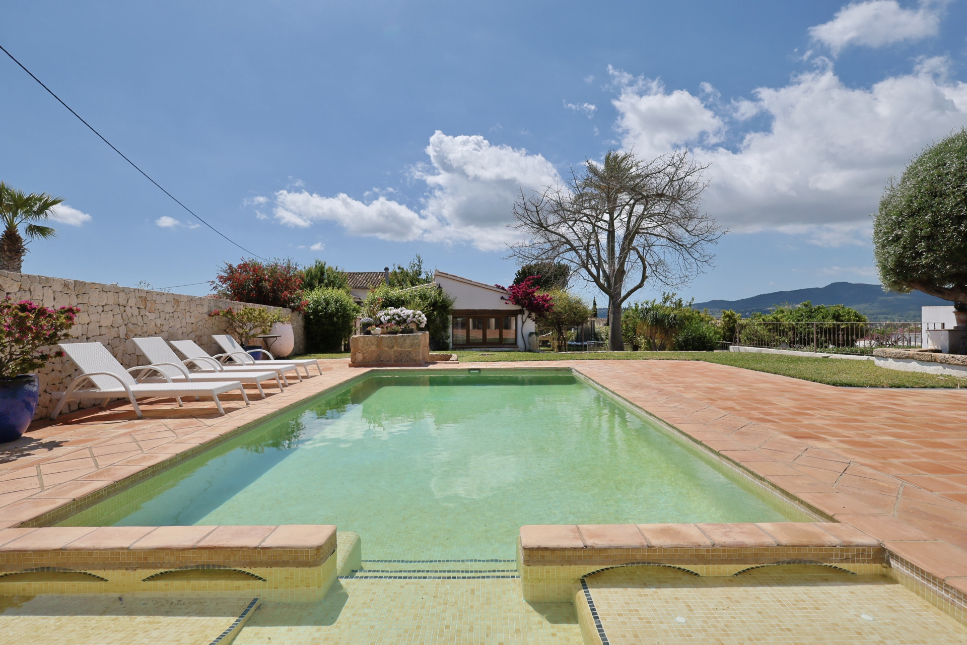 View of the rectangular pool with terracotta edge, surrounded by garden and white sun loungers.