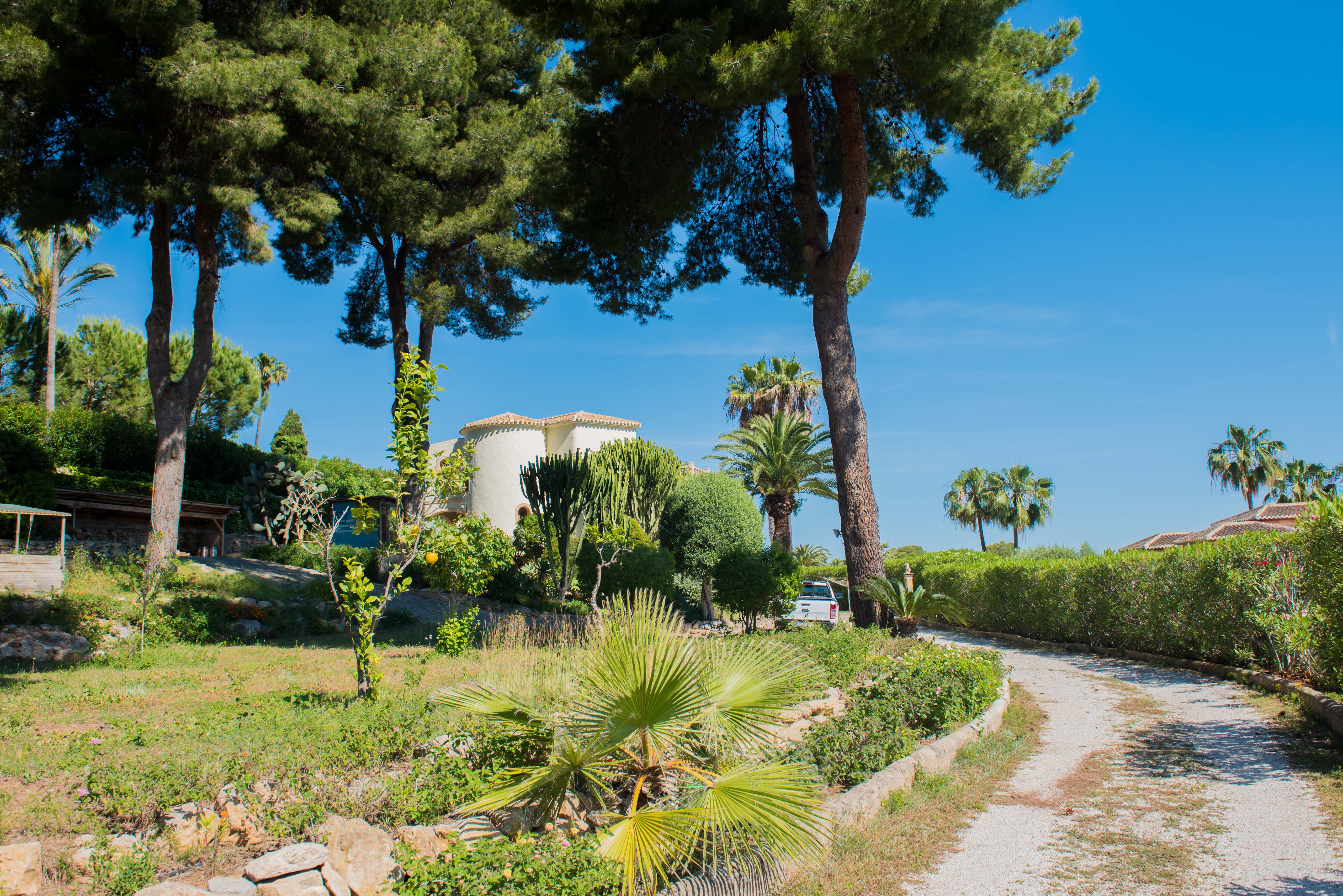 View of the plot with Mediterranean vegetation, palm trees, and the main villa in the background in Jávea. View of the plot with Mediterranean vegetation, palm trees, and the main villa in the background in Jávea.