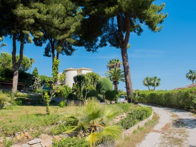 View of the plot with Mediterranean vegetation, palm trees, and the main villa in the background in Jávea.