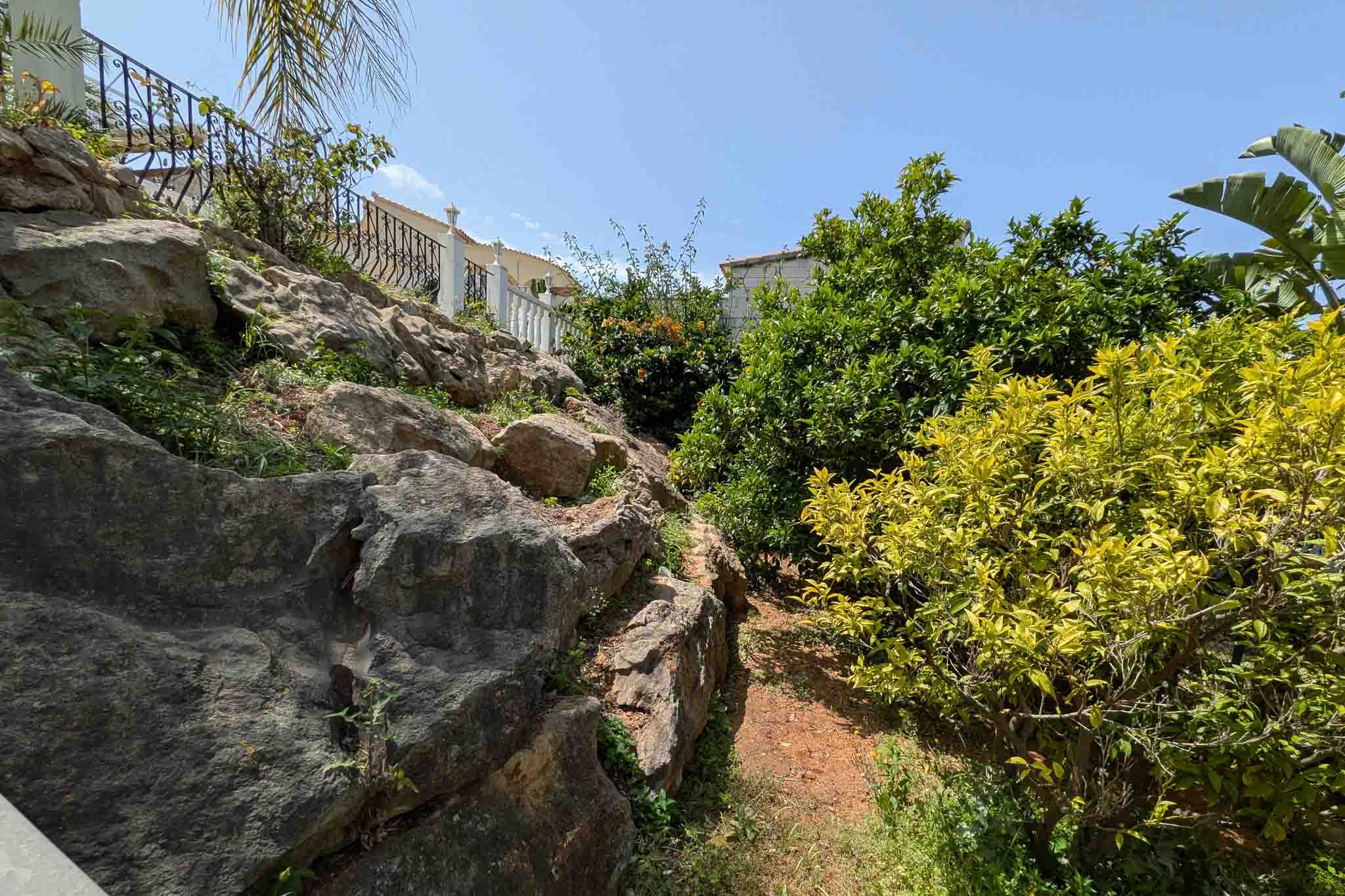 Cascading garden featuring natural rock formations, dirt pathways, and lush Mediterranean citrus trees integrated into the hillside plot.