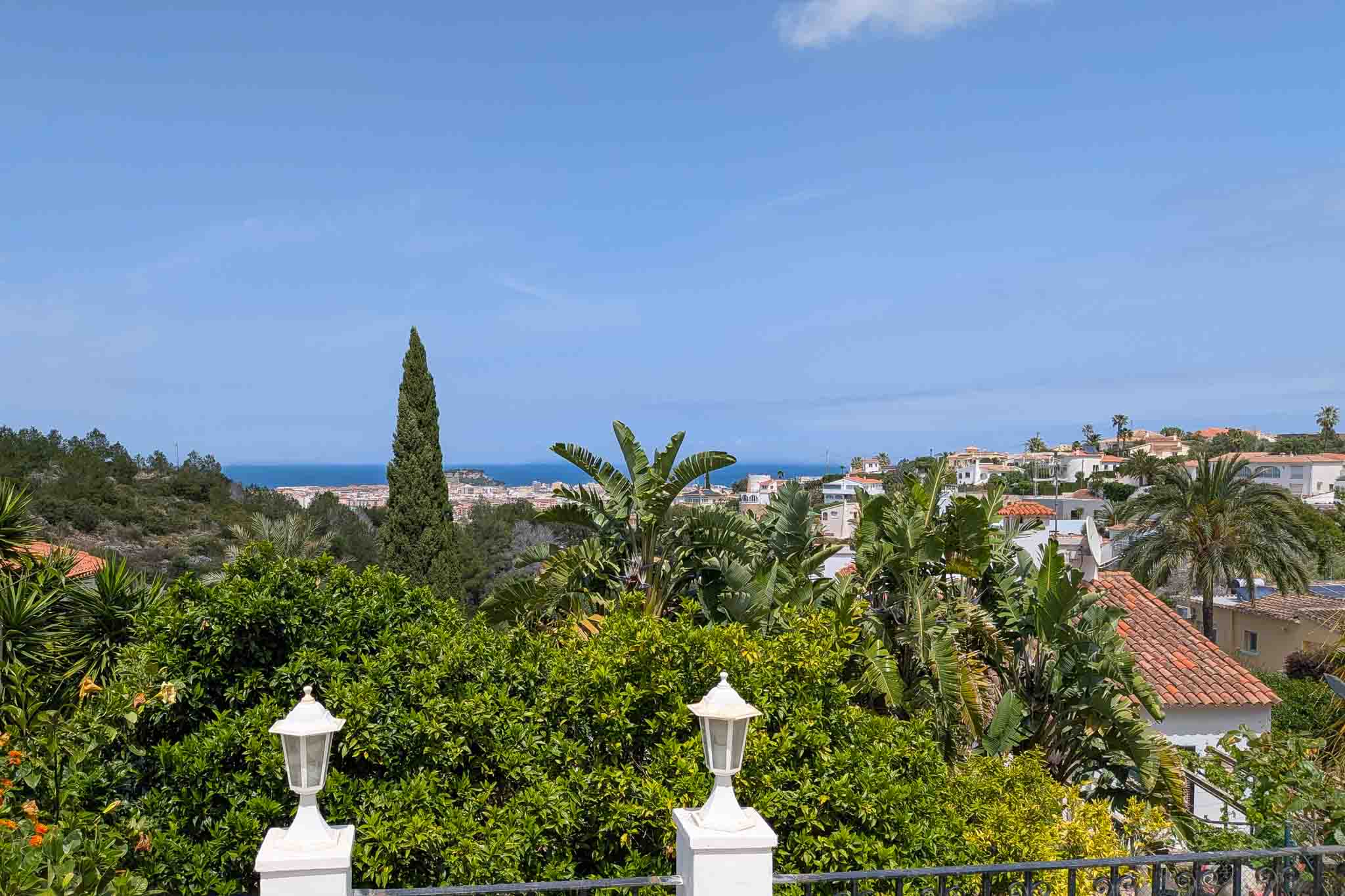 Elevated terrace view showcasing panoramic vistas of the Mediterranean Sea and Dénia, framed by lush citrus and palm trees.