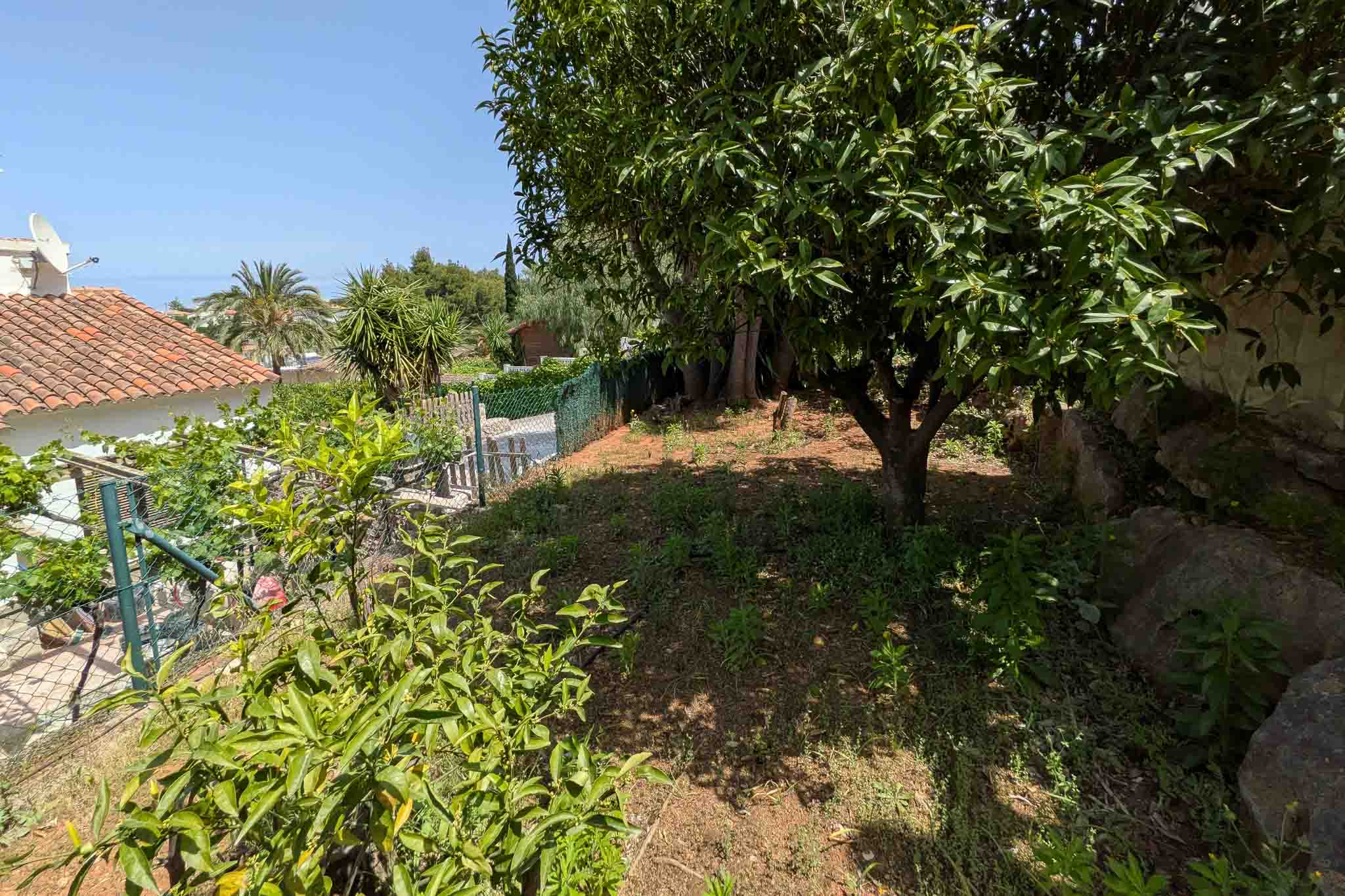Mediterranean garden featuring citrus trees and native vegetation on a terraced plot, enclosed by natural stone walls and wire fencing.