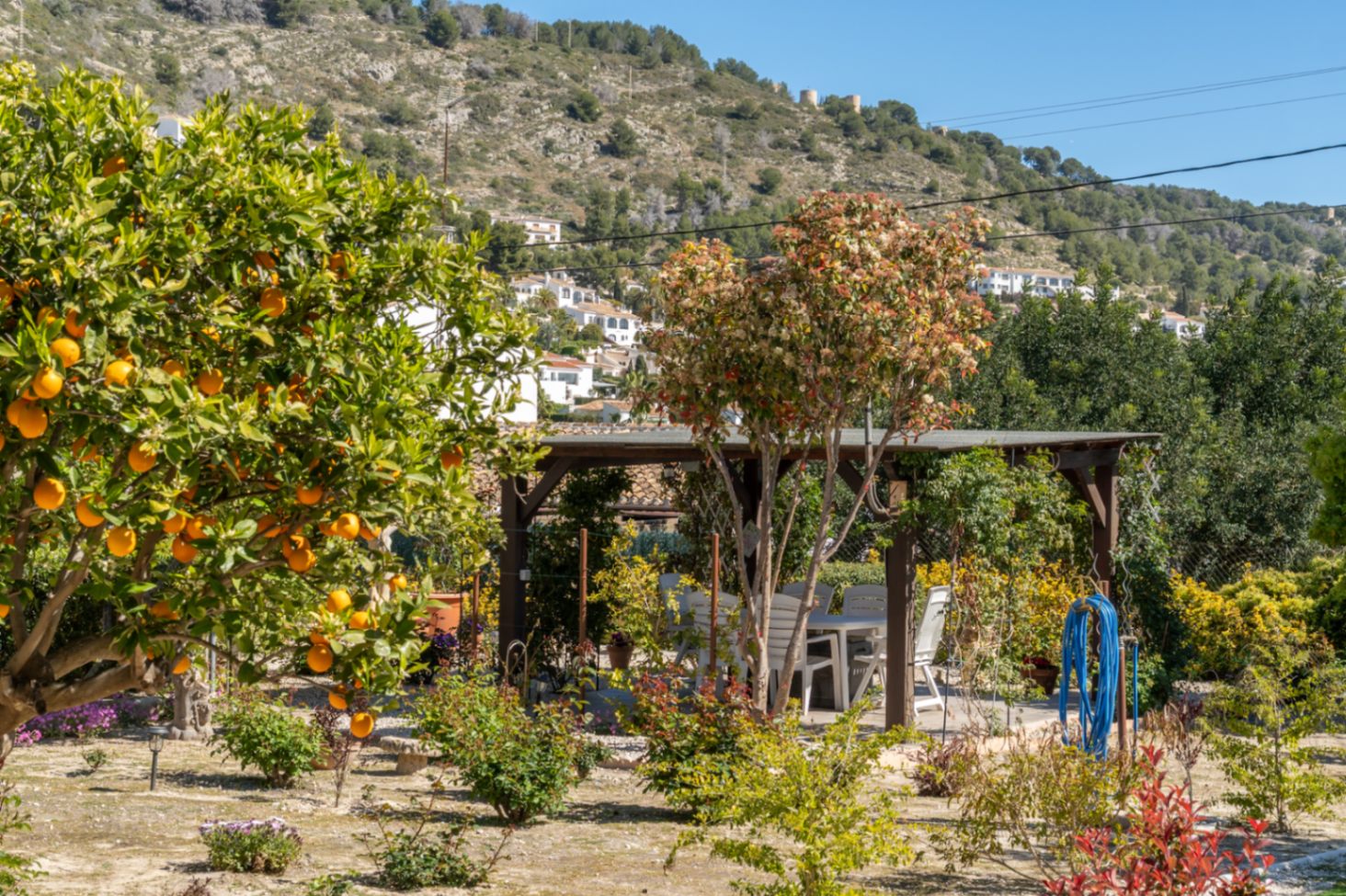 Mediterranean garden featuring a productive orange tree and a shaded outdoor dining area under a wooden pergola with scenic hillside views.