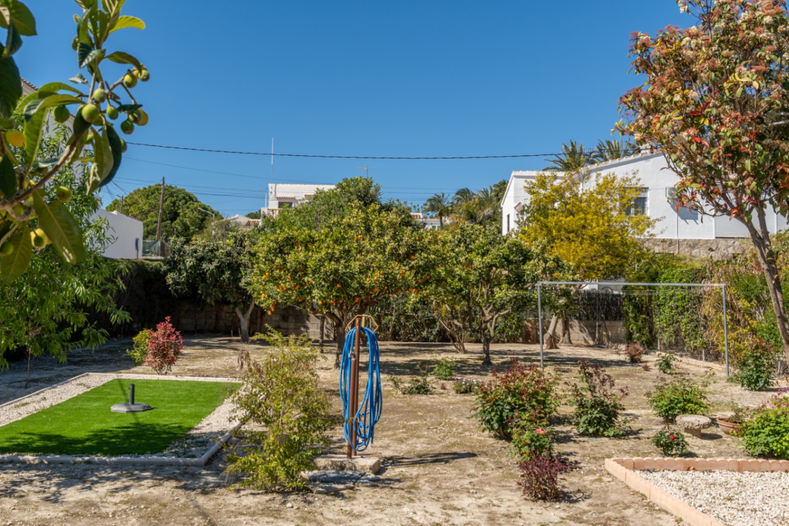 Mediterranean garden featuring citrus trees, a small artificial lawn area, and gravel paths under a clear blue sky.