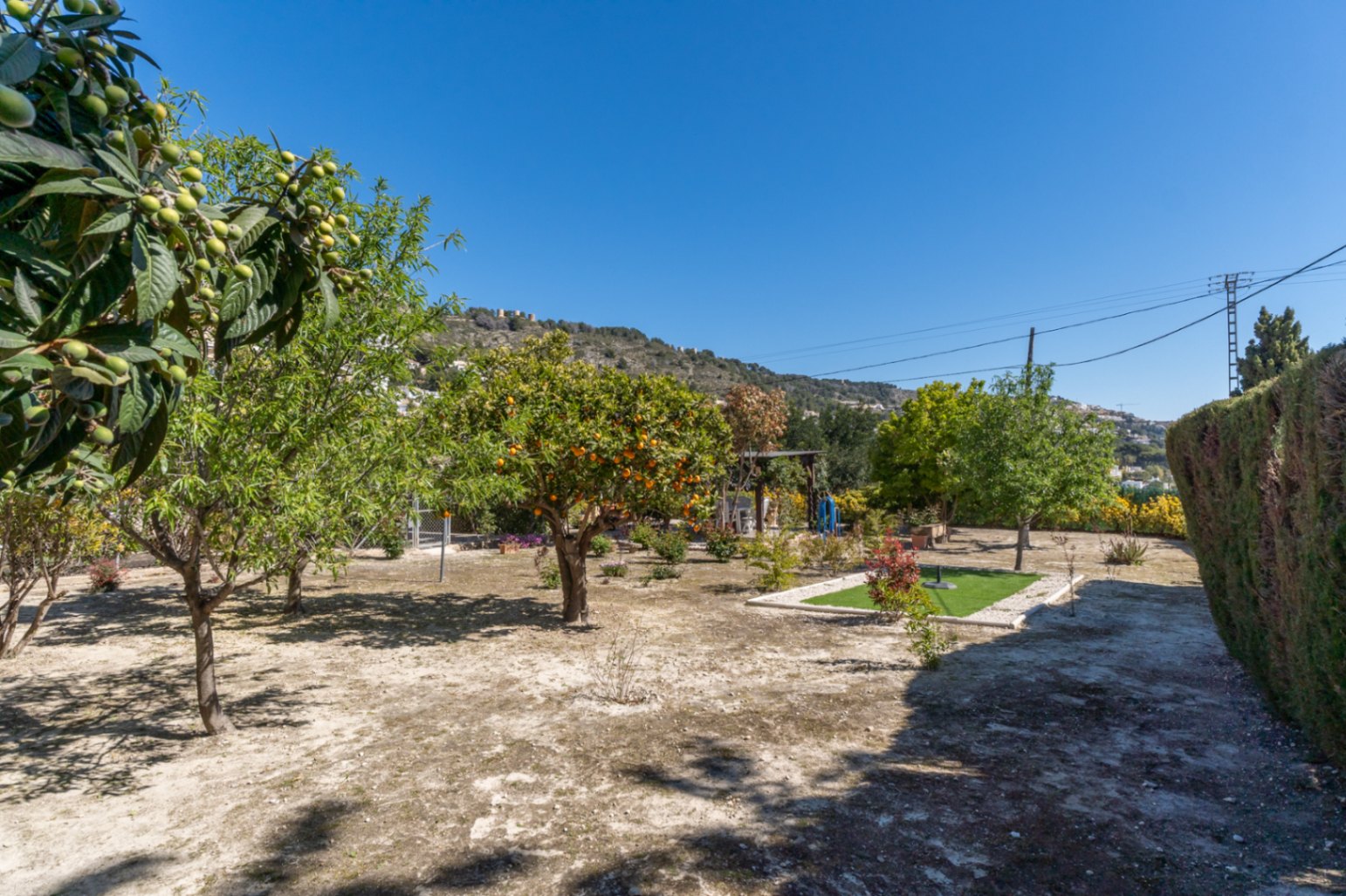 Mediterranean garden featuring fruit trees such as loquat and citrus, set on a level plot with views of the surrounding hills and clear blue skies.