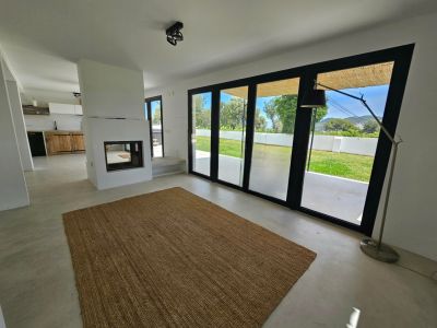 Bright living room featuring a modern fireplace, jute rug, and direct access to the garden.