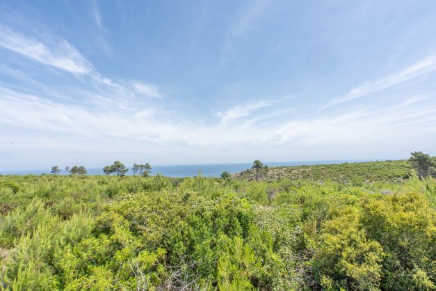 View of the plot featuring native vegetation and a sea horizon under a partly cloudy sky.