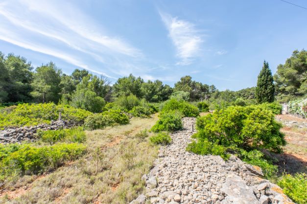 View of the plot featuring native vegetation and stone walls in Jávea.