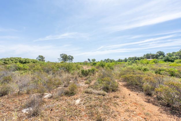 View of the plot featuring native vegetation under a partly cloudy sky.