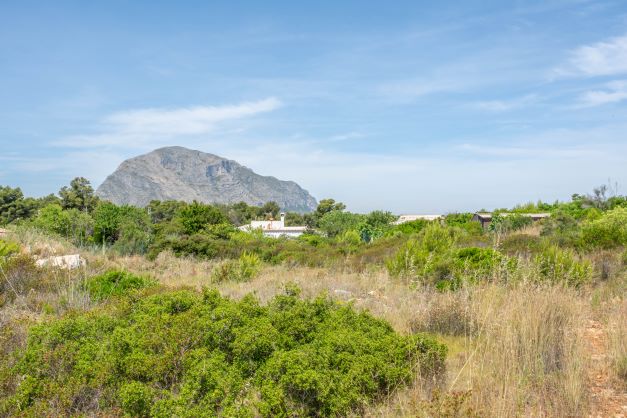 View of the plot featuring native vegetation with Montgó mountain in the background.