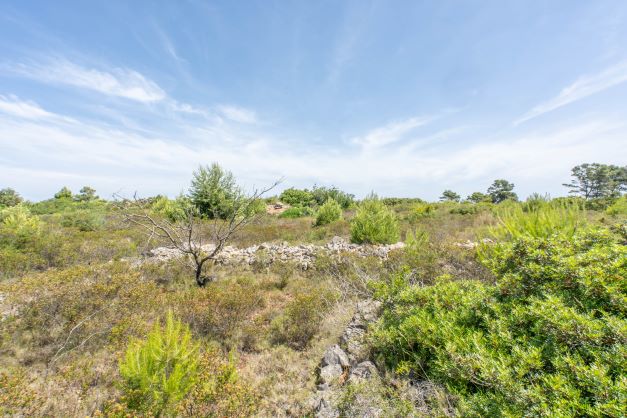 View of the plot with native vegetation and remains of a stone wall under a blue sky.