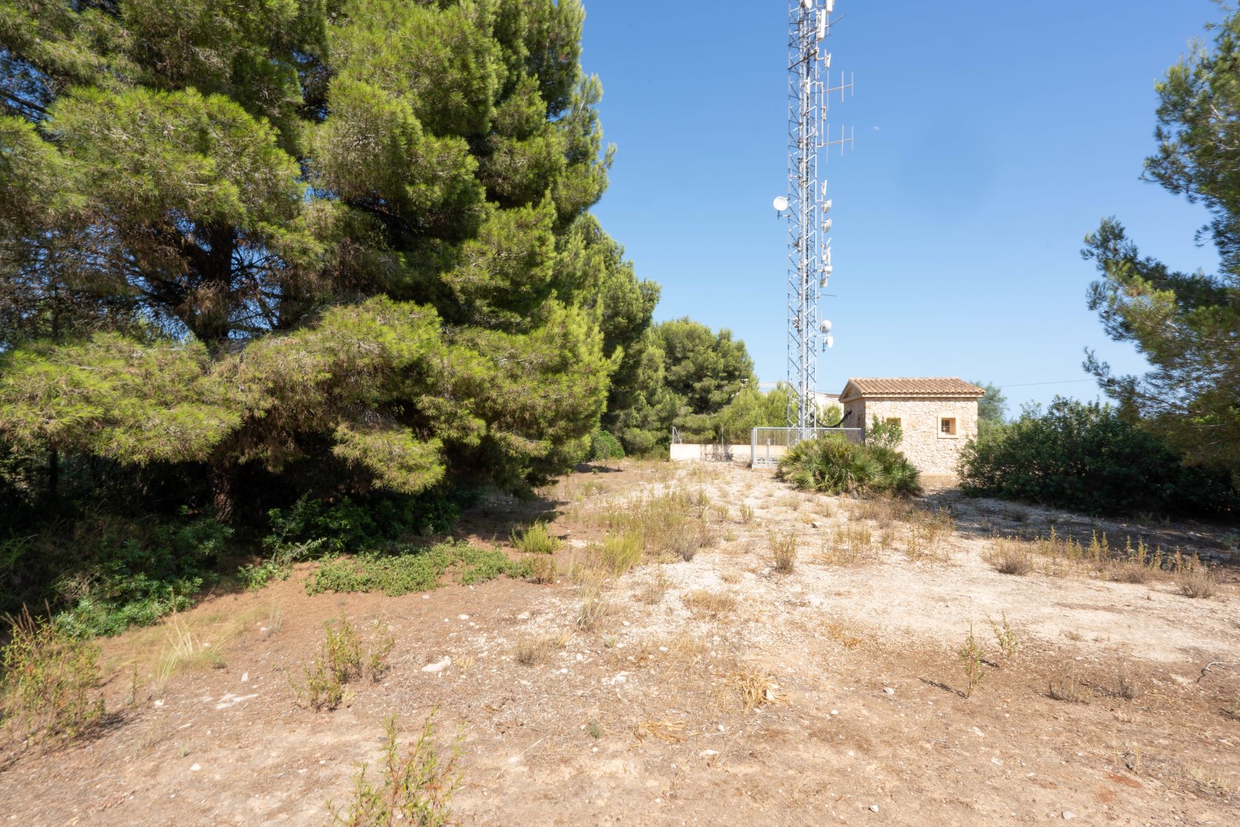 View of the plot featuring vegetation, an antenna tower, and an auxiliary building.