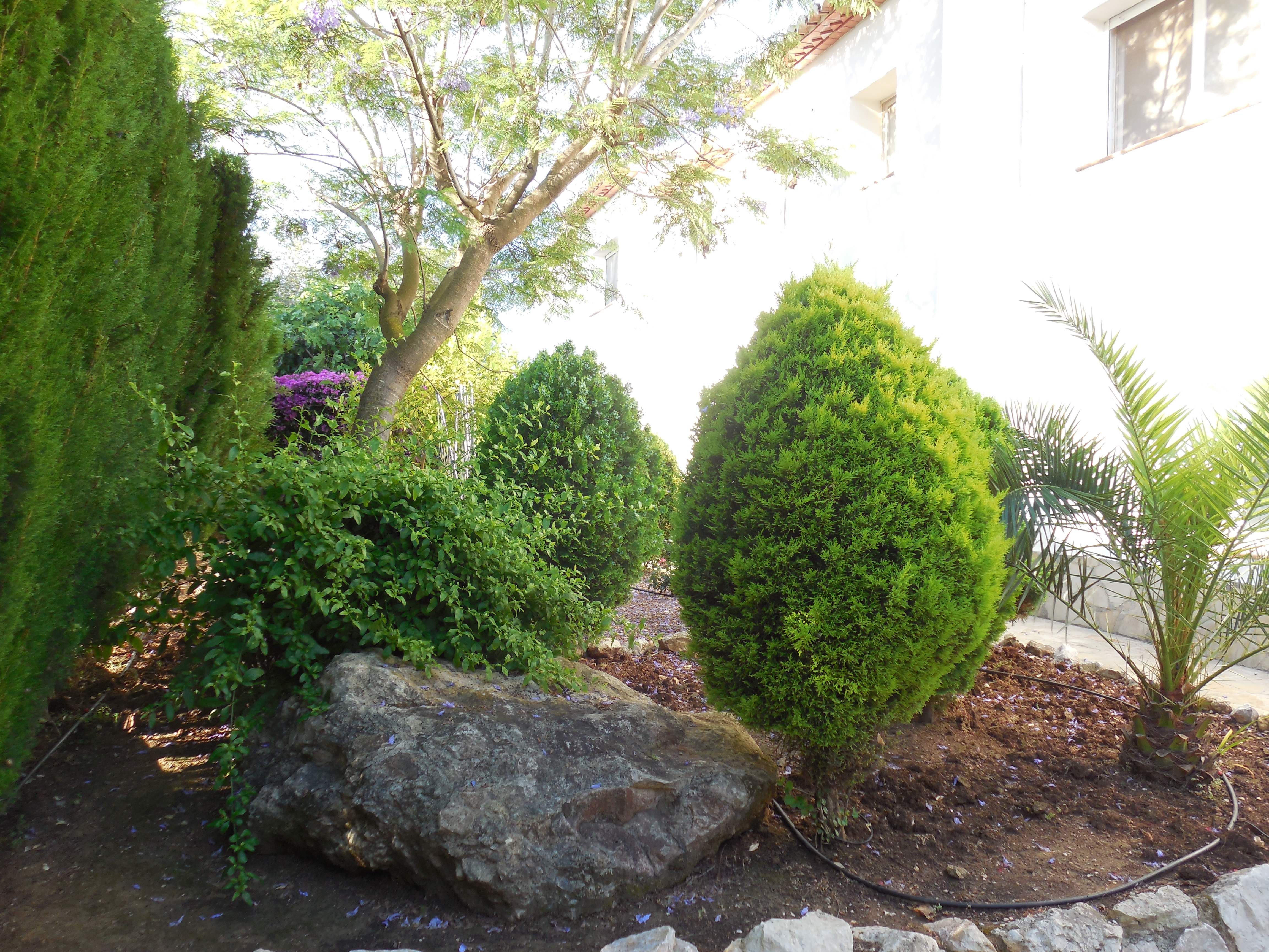 Garden featuring topiary shrubs and ornamental rocks at Villa Jávea Pinosol.