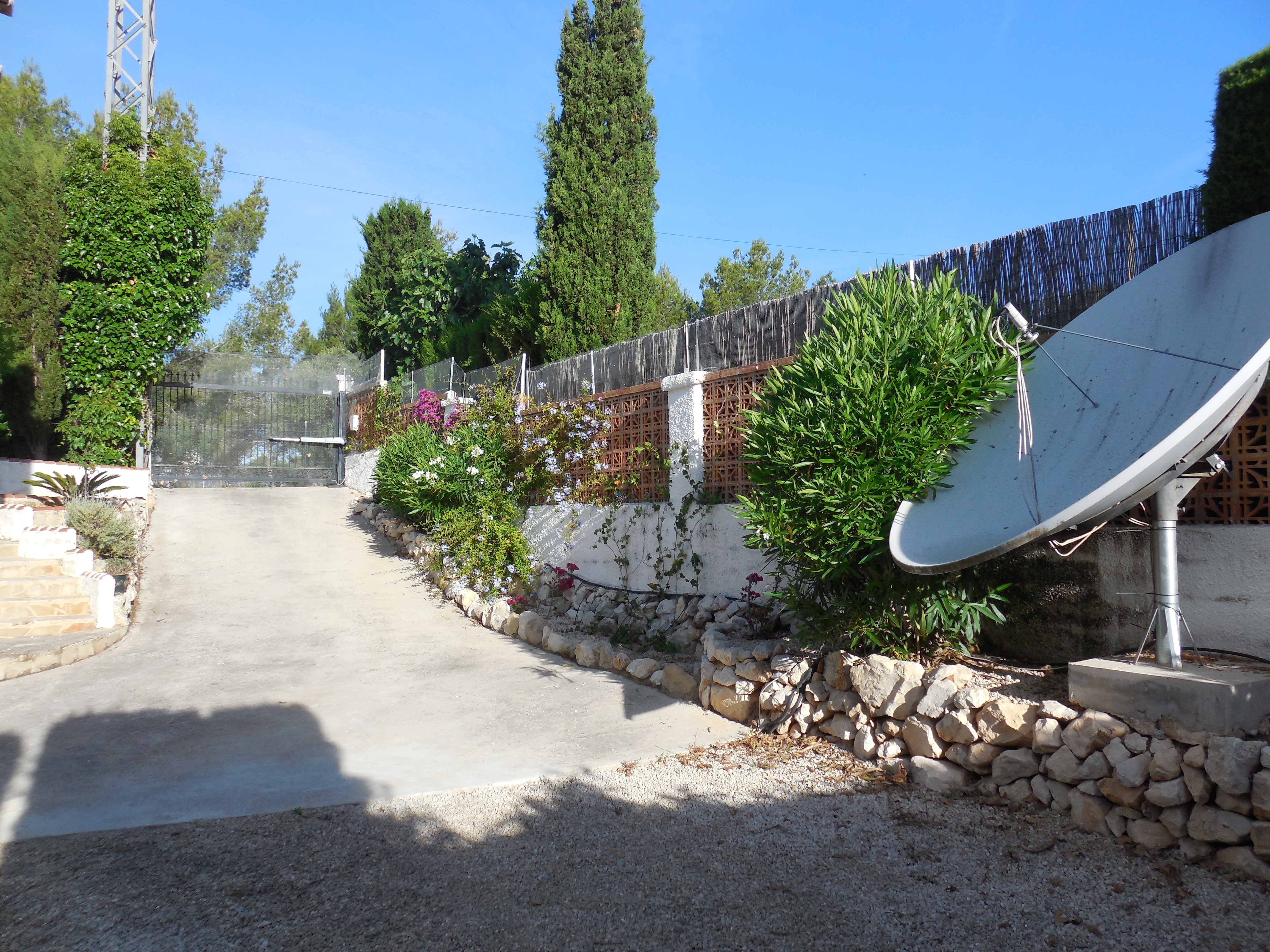 Property entrance featuring a concrete driveway, brick fence, and lush greenery.