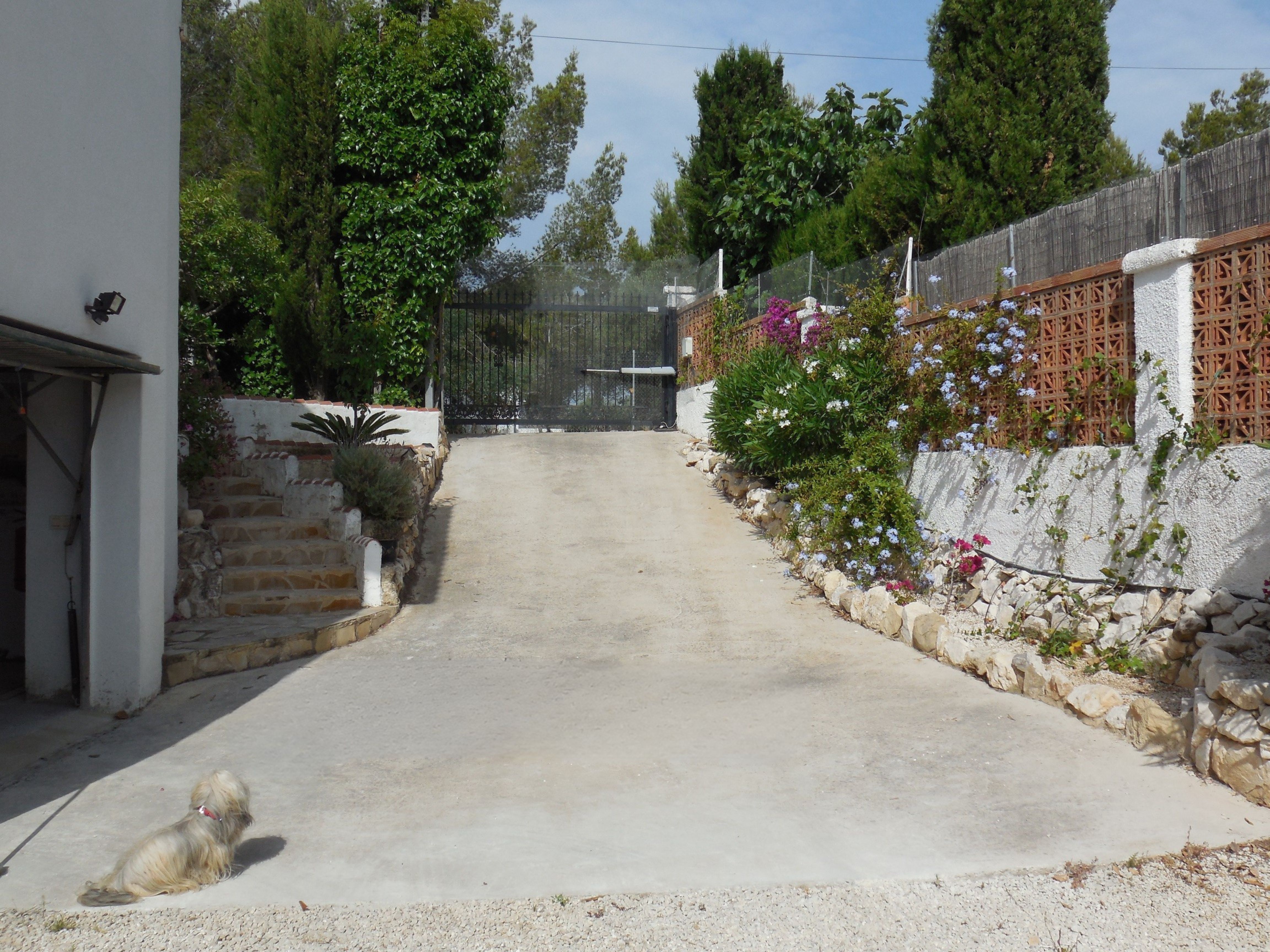 Villa entrance featuring a concrete driveway, stone stairs, and flowering vegetation.