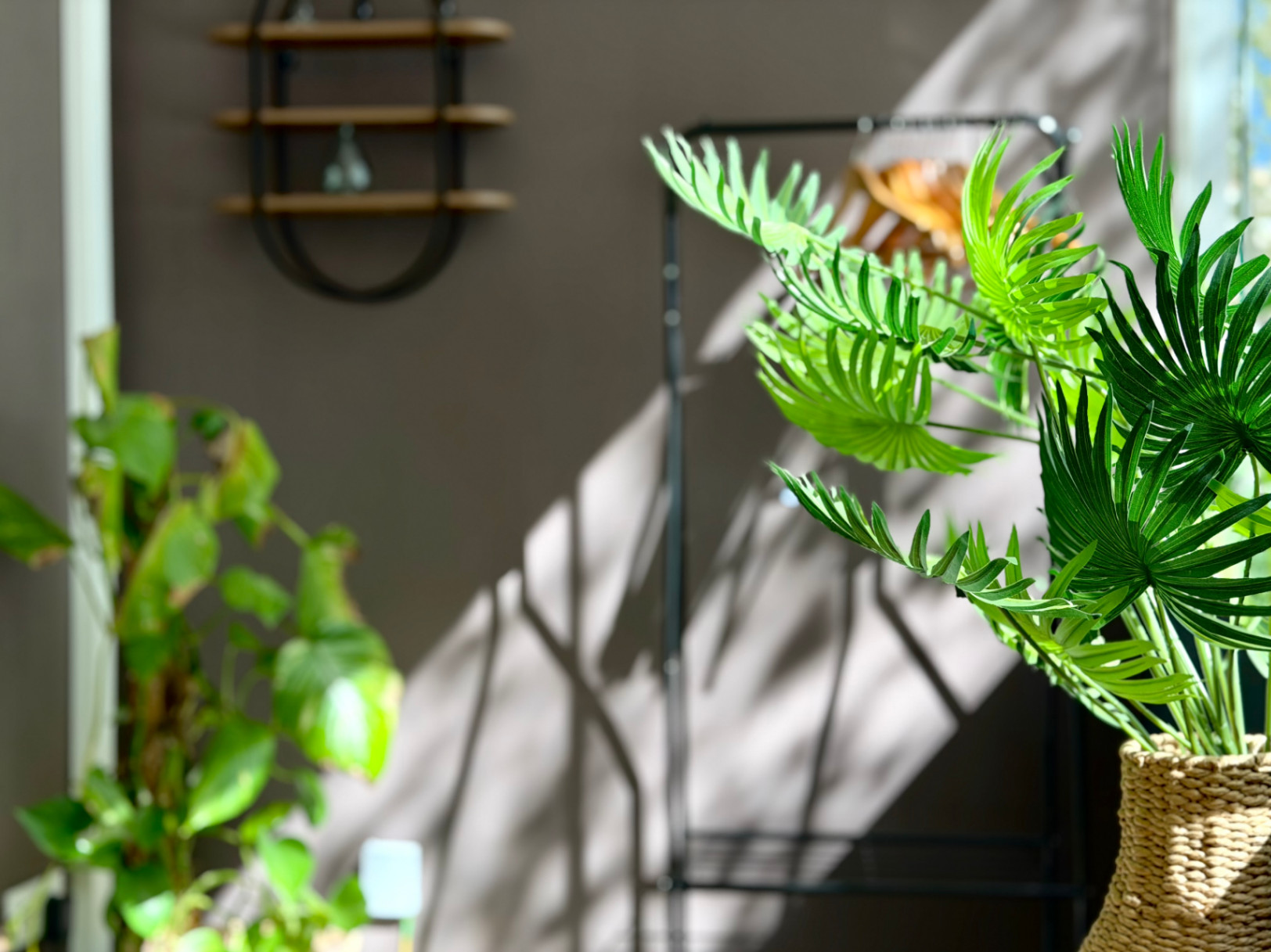 Interior detail featuring plants, a wooden shelf, and natural light creating shadows on the wall.