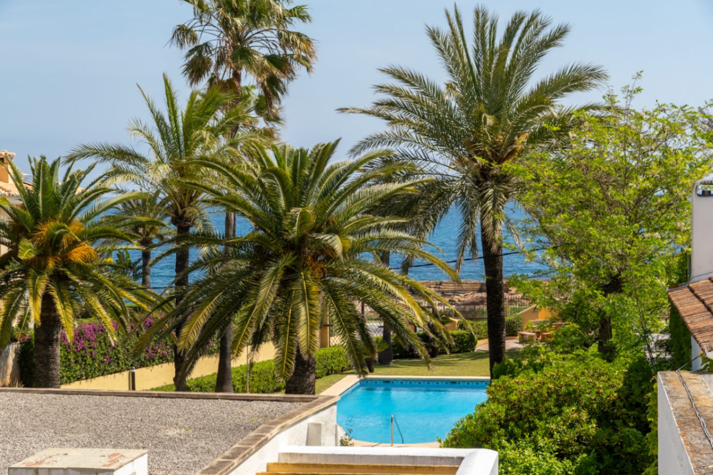View of the communal pool and the Mediterranean Sea, framed by palm trees and lush greenery.