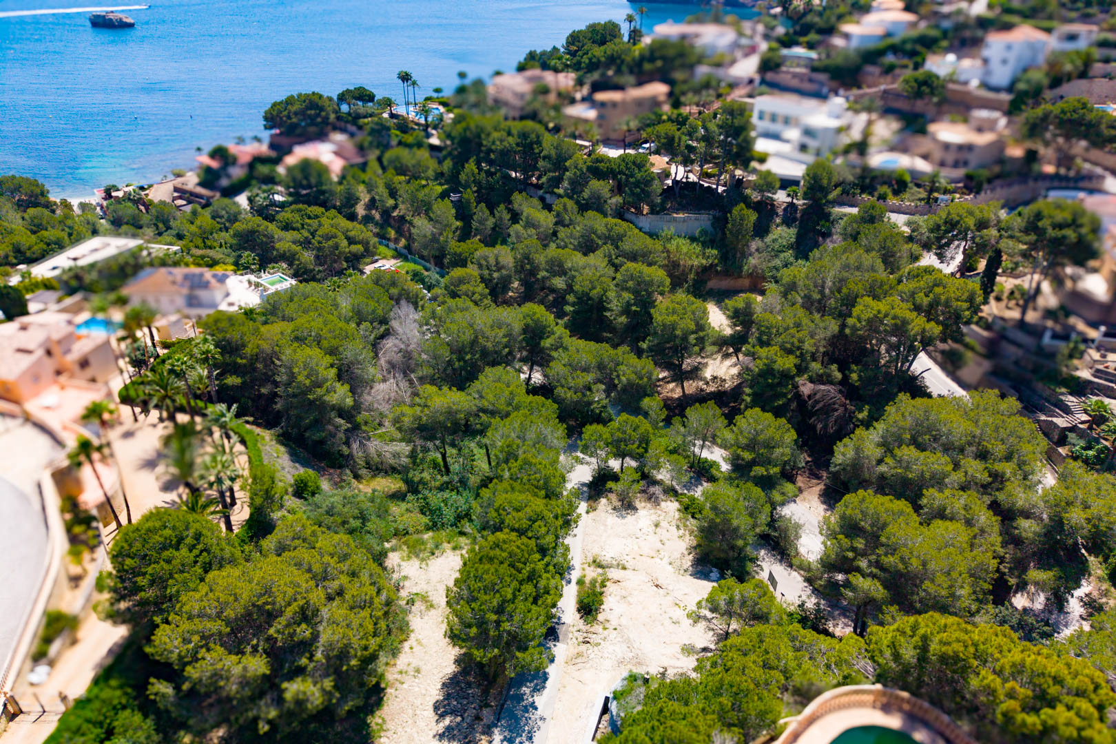 Aerial view of wooded plot in Jávea with direct coastal access, ideal for commercial development.