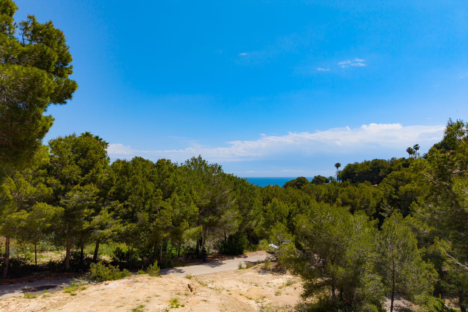 View of the plot featuring lush greenery and a distant view of the Mediterranean Sea under a clear blue sky.